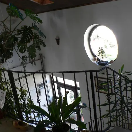 Πανσιόν Casa Havana (adults Only) Costinești