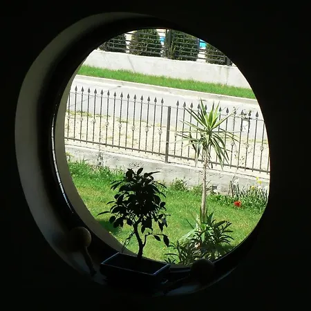 Casa Havana (adults Only) Costinesti