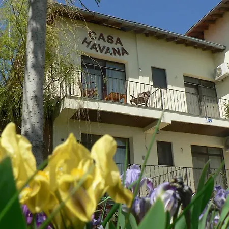 Casa Havana (adults Only) 招待所 科斯蒂内什蒂