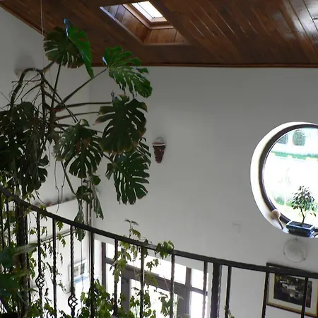 Casa Havana (adults Only) 招待所 3*