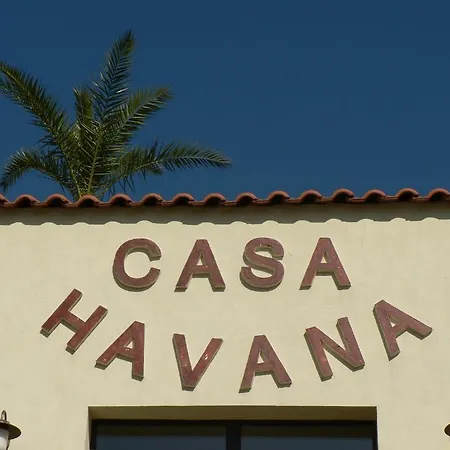 招待所 Casa Havana (adults Only) 科斯蒂内什蒂
