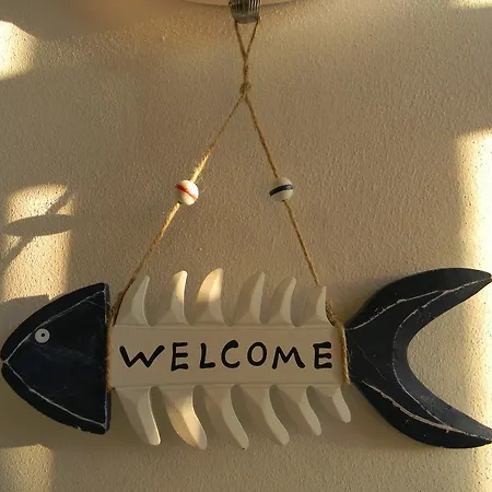 招待所 Casa Havana (adults Only) 科斯蒂内什蒂