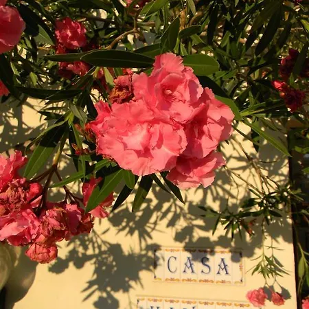 Casa Havana (adults Only) 招待所 3*