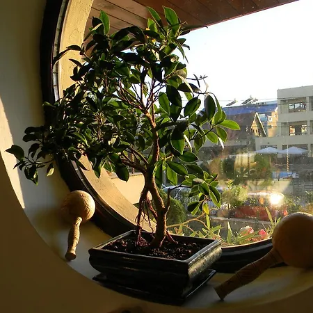 招待所 Casa Havana (adults Only)