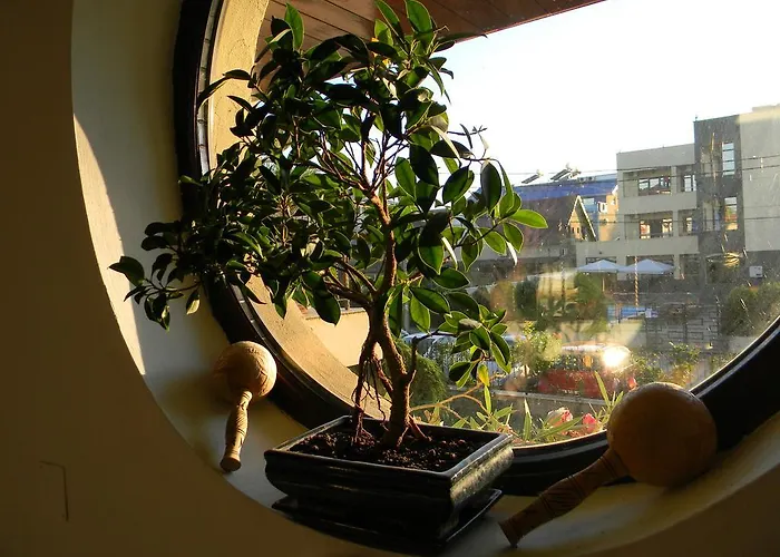 Guest house Casa Havana (Adults Only)